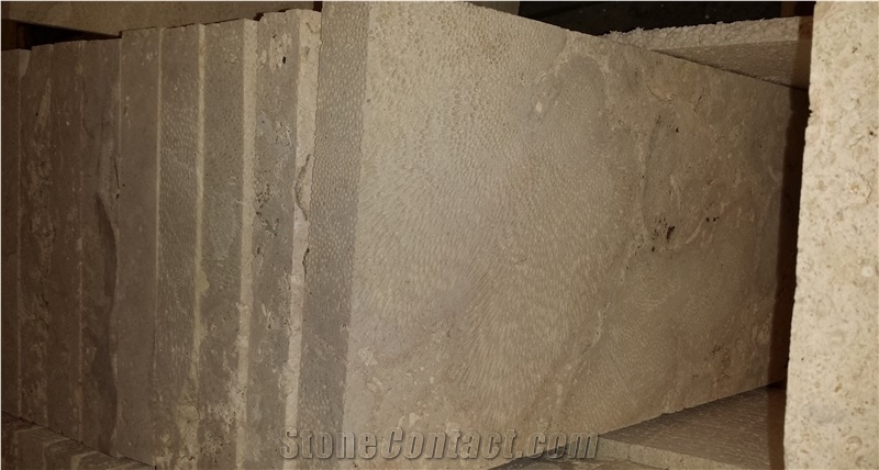 Coral Stone Pavers