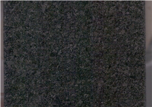 Seaweed Green