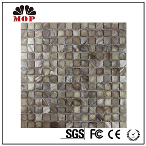 Mop-G12 20*20mm Shell Mosaic Slab