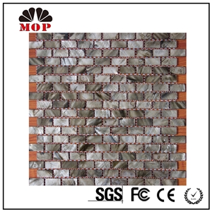 Mop-G21 15*30mm Rectangle Shell Mosaic Tile Club
