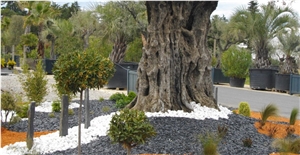Pebble Stone, Gravels, Garden Decor