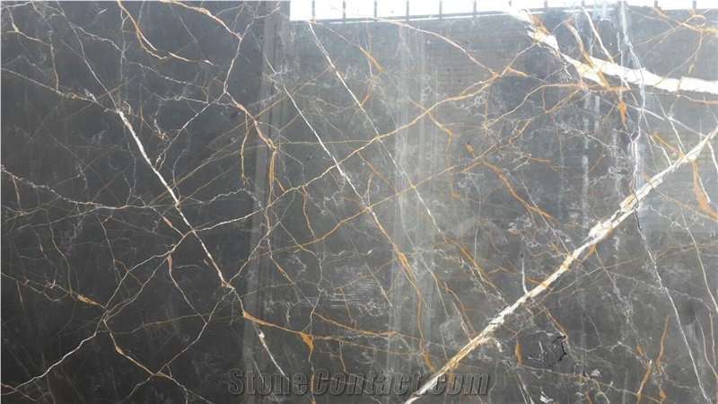 Golden Galaxy Marble Slabs