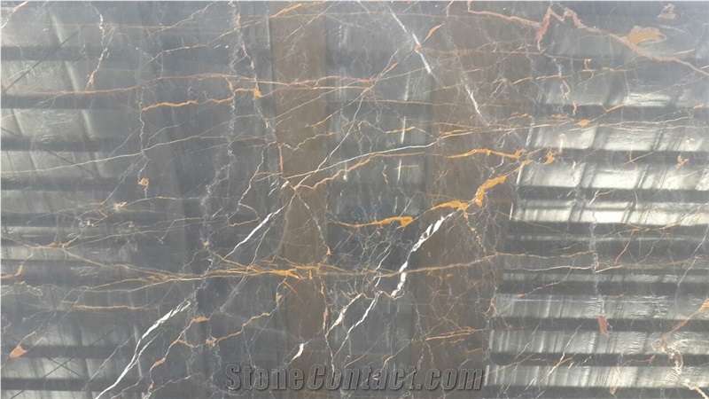 Golden Galaxy Marble Slabs