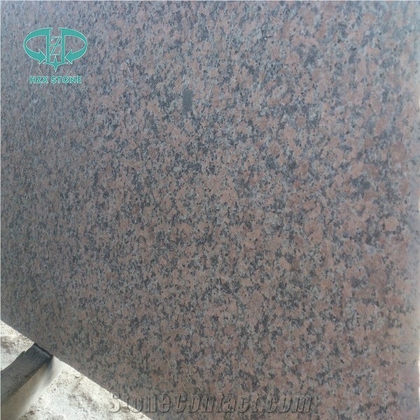 G562 Maple Red Granite,G562,Maple Leaf Red,Maple Leaves,Maple Red Tiles,G562 Slab,G562 for Kitchtop,China Red Granite,Cenxi Red,Red Granite,G562 Tile,G562 Floor Tiles,Maple Red Granite,G562 Flooring