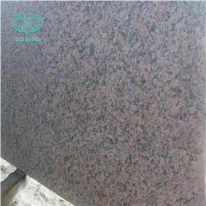 G562 Maple Red Granite,G562,Maple Leaf Red,Maple Leaves,Maple Red Tiles,G562 Slab,G562 for Kitchtop,China Red Granite,Cenxi Red,Red Granite,G562 Tile,G562 Floor Tiles,Maple Red Granite,G562 Flooring