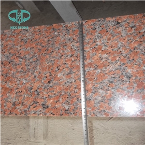 G562 Maple Red Granite,G562,Maple Leaf Red,Maple Leaves,Maple Red Tiles,G562 Slab,G562 for Kitchtop,China Red Granite,Cenxi Red,Red Granite,G562 Tile,G562 Floor Tiles,Maple Red Granite,G562 Flooring