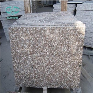 Natural Polished Zhangpu Red Floor Tile(Good Price )