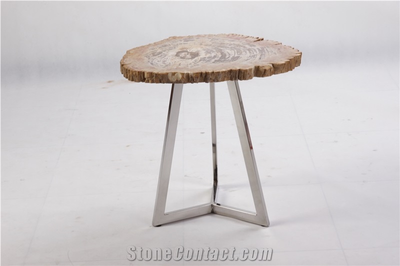 Petrified Wood Side Table