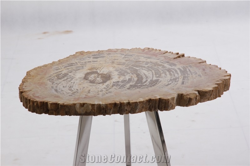 Petrified Wood Side Table