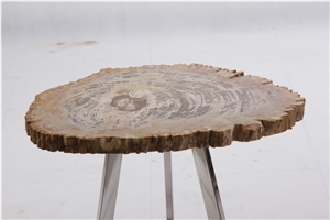 Petrified Wood Side Table