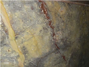 Opera Fantastico Marble Slabs Tiles