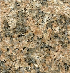 New Giallo Veneziano Granite Slabs New Giallo Veneziano Granite Slabs