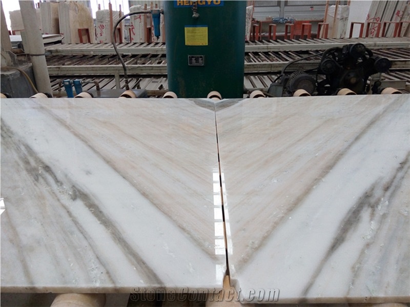 Italy High Sales Palissandro Classico White Marble for Building