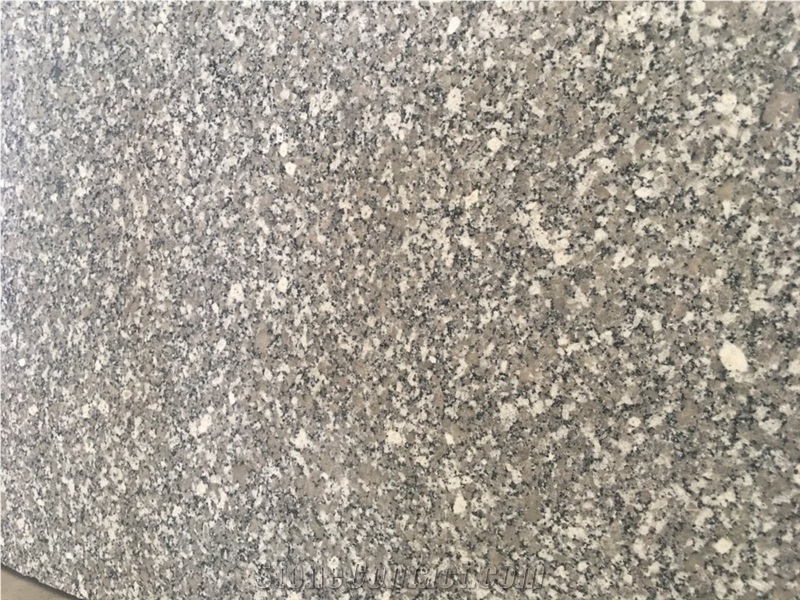 Sl White Granite, White Lau Spring Granite Tiles & Slabs Viet Nam
