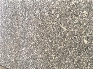 Sl White Granite, White Lau Spring Granite Tiles & Slabs Viet Nam