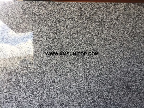 Polished Spray White Granite Gangsaw Big Slab&Customized&Tiles/Sea Wave Flower Granite for Wall Covering&Wall Cladding/White Wave Granite for Flooring/G423 Granite Panels/Silvery Grey Granite/A Grade