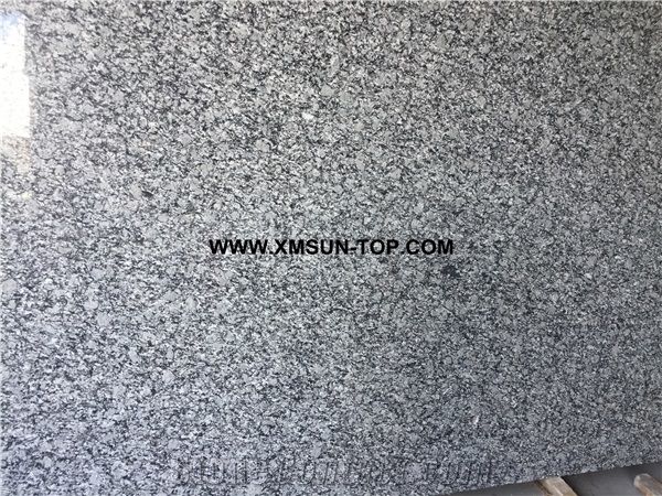 Polished Spray White Granite Gangsaw Big Slab&Customized&Tiles/Sea Wave Flower Granite for Wall Covering&Wall Cladding/White Wave Granite for Flooring/G423 Granite Panels/Silvery Grey Granite/A Grade