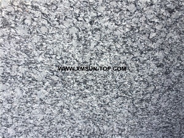 Polished Spray White Granite Gangsaw Big Slab&Customized&Tiles/Sea Wave Flower Granite for Wall Covering&Wall Cladding/White Wave Granite for Flooring/G423 Granite Panels/Silvery Grey Granite/A Grade