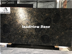 Black Petrified Wood Slabs and Tiles, Semiprecious Stone Tiles and Slabs