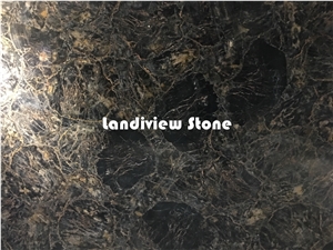 Black Petrified Wood Slabs and Tiles, Semiprecious Stone Tiles and Slabs