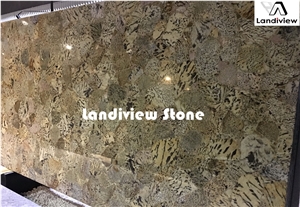 Graphic Feldspar Slabs and Tiles