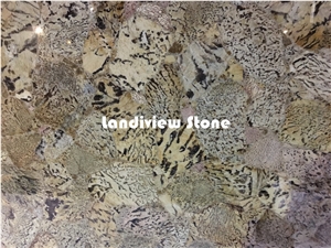 Graphic Feldspar Slabs and Tiles