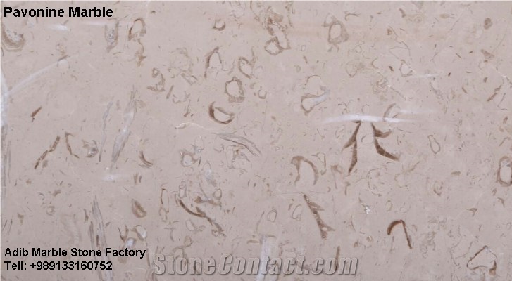 Pavonine Marble Slabs & Tiles