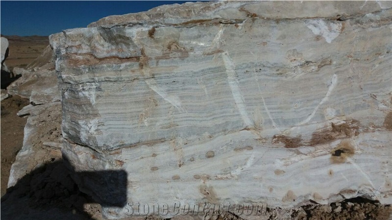 Brown Traonyx
