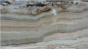 Brown Traonyx
