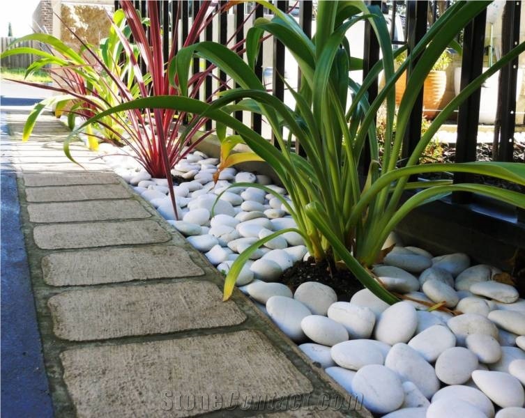 Indonesia Natural Stone Cream Pebble from Beach