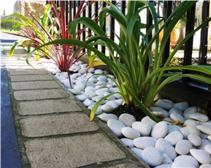 Indonesia Natural Stone Cream Pebble from Beach