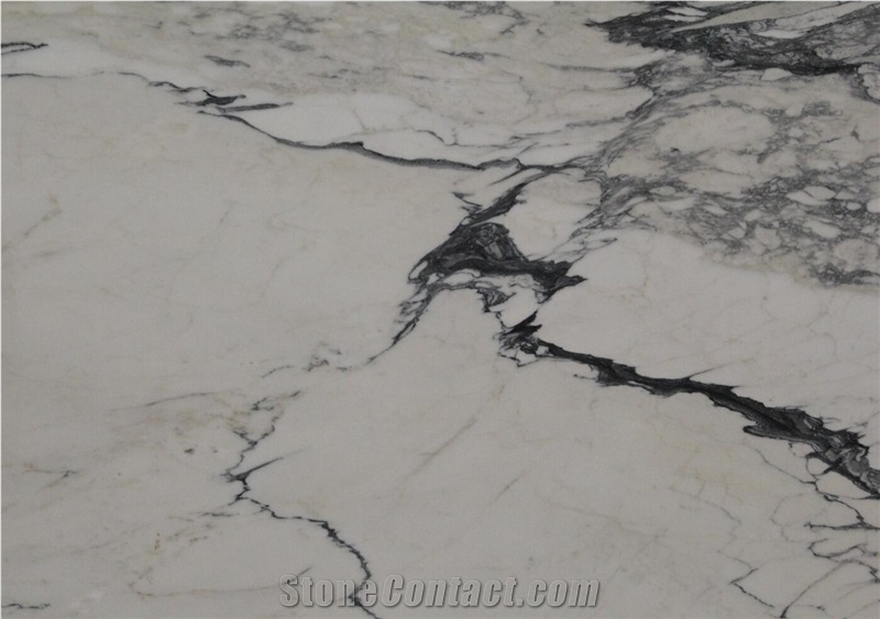 Calacatta Paonazzo Marble Creme Bianco White Stone Slab Tile