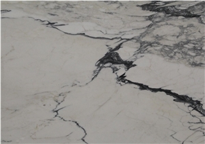Calacatta Paonazzo Marble Creme Bianco White Stone Slab Tile