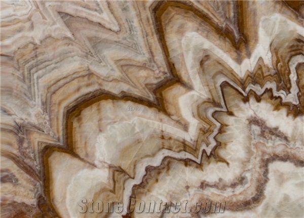 Turkey Coffee Line Onyx Big Polished Slab Bookmatched Wall
