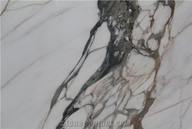 Italy Paonazzo Marble Calacatta Paonazzo Creme White Slab