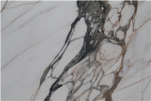 Italy Paonazzo Marble Calacatta Paonazzo Creme White Slab