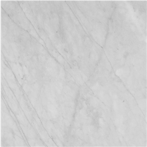 Avenza Marble