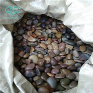 Chinese Natural/Snow White Pebble Cobblestone for Park/Garden