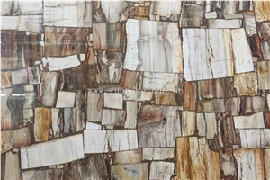 Petrified Wood Fossil Semiprecious Stone Polished Big Slab