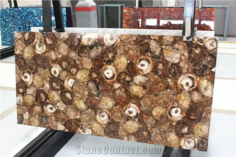 Natural Petrified Wood Stone Slab
