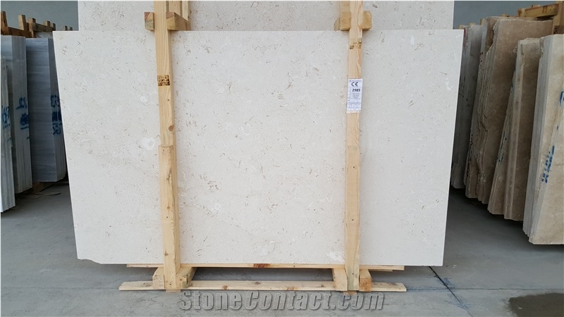 Turkey Shell Beige Slabs & Tiles, Shell Beige Limestone Slabs & Tiles