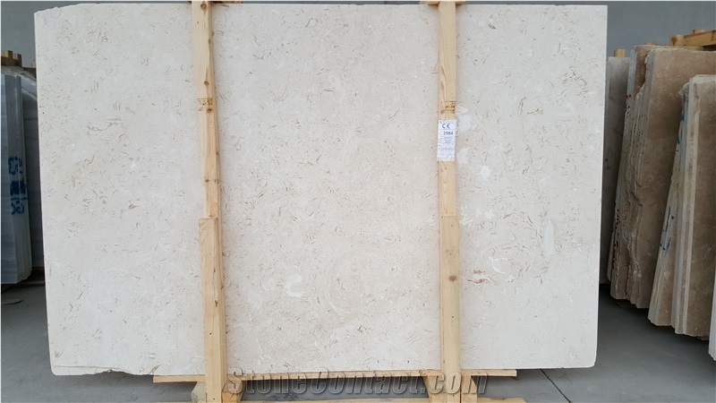 Turkey Shell Beige Slabs & Tiles, Shell Beige Limestone Slabs & Tiles