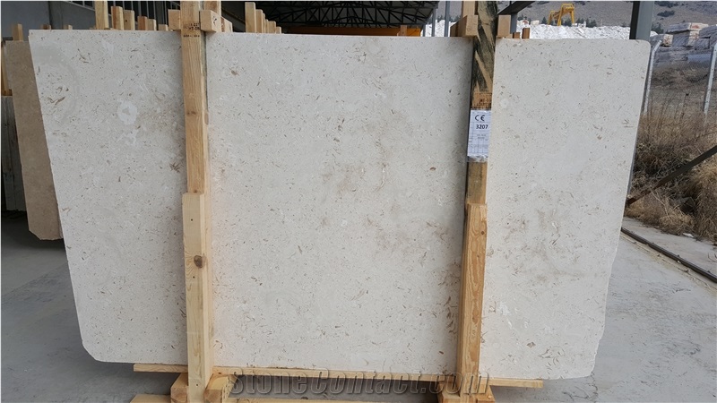 Turkey Shell Beige Slabs & Tiles, Shell Beige Limestone Slabs & Tiles