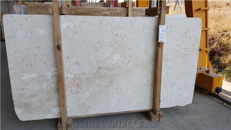 Turkey Shell Beige Slabs & Tiles, Shell Beige Limestone Slabs & Tiles