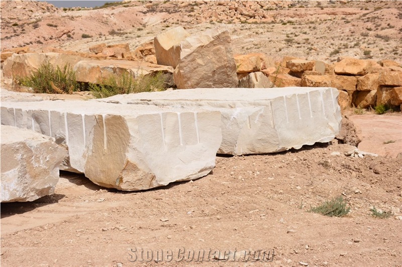 Tunisia Quarry Direct Supply Thala Beige (Royal Thala,Thella Beige,Thella Beige Refsot) Limestone Slabs and Tiles, Polished, Honed