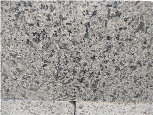 New G654 Gray Granite Curbstones Flamed Bushhammered Polished Surface Competitive Prices