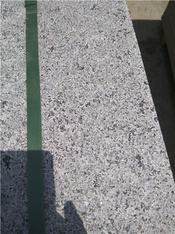 New G654 Gray Granite Curbstones Flamed Bushhammered Polished Surface Competitive Prices