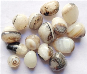 Zebra Pebbles