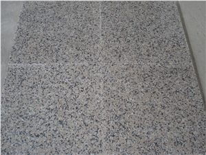 G563 Granite Sanbao Red Granite Slabs for Flooring/Vanity Tops