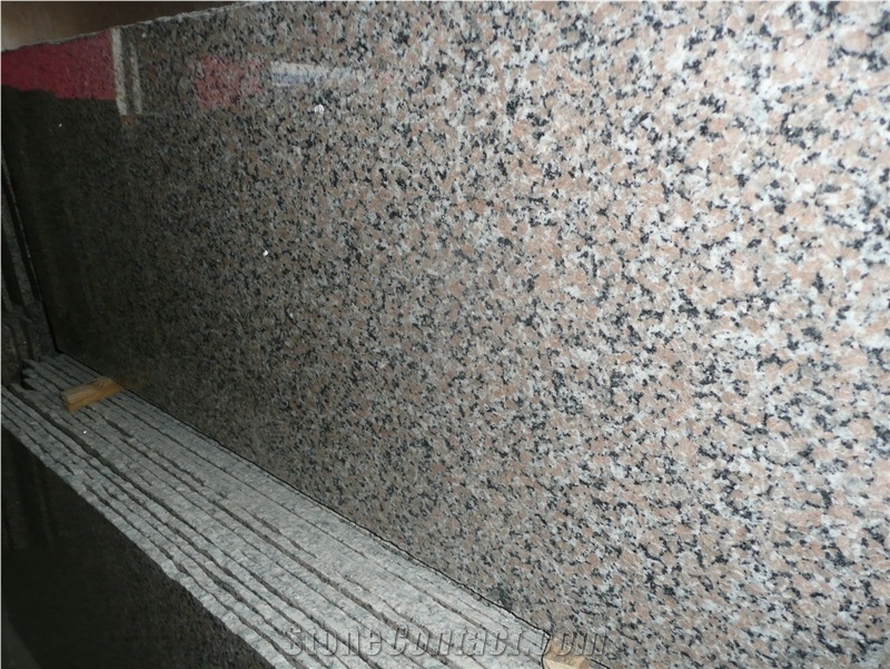 G563 Granite Sanbao Red Granite Slabs for Flooring/Vanity Tops